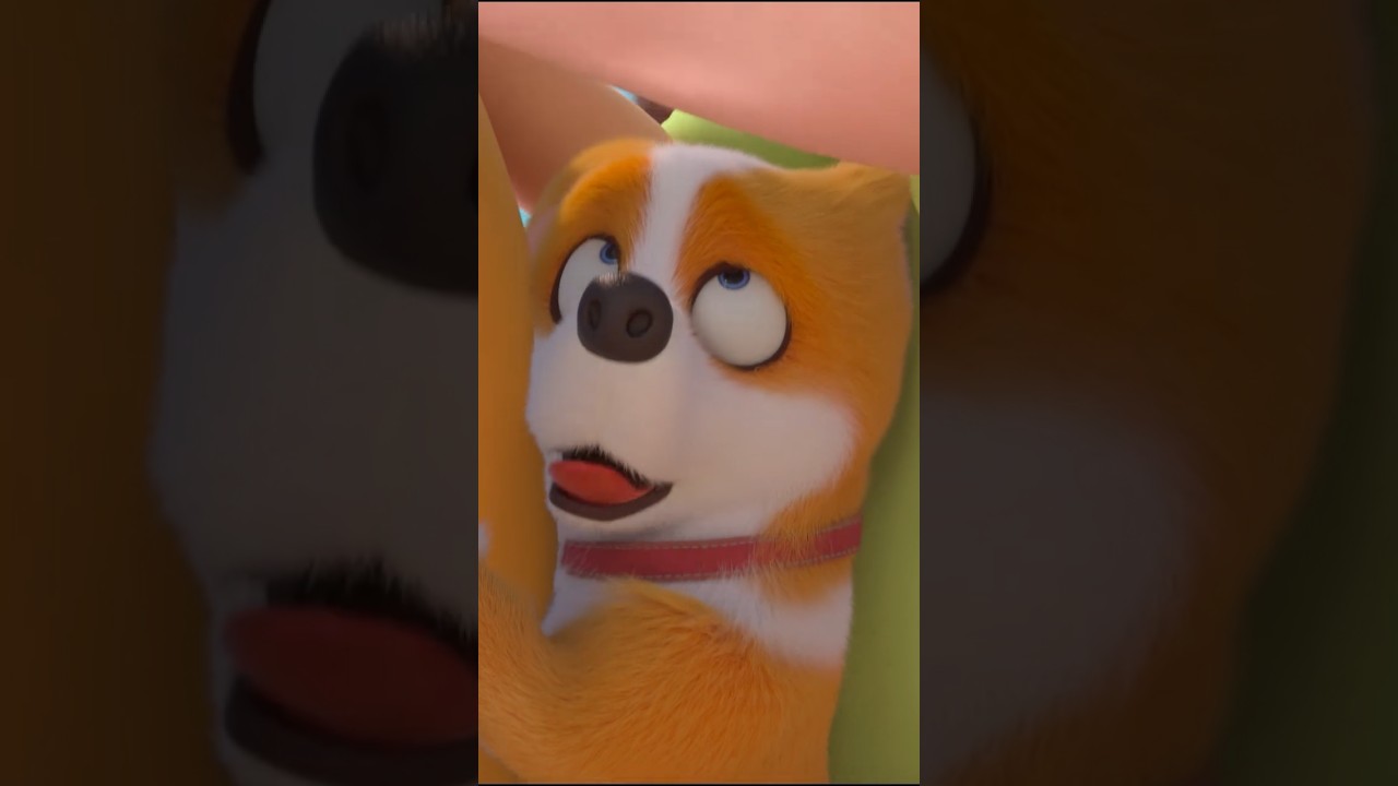 Moco And Yummy 🐕 Cartoon Video. 