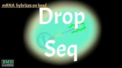 Drop Seq | Droplet Barcoding Of Single Cells | Single Cell Drop Seq | Droplet Technology |