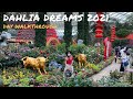 Gardens By The Bay Singapore Flower Dome Dahlia Dreams 2021 Day Walkthrough Chinese New Year