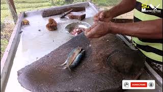 Hurulla Fish Clean |Sardinella Fish Clean