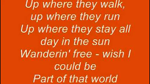 Disney -  The Little Mermaid - Part Of Your World