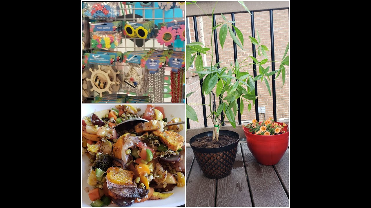 Dollar tree, veggie prepping, Cabbage subji. YouTube