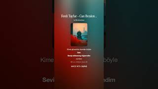 Ferdi Tayfur Can Bırakmadın Al Cover 1