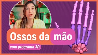 Ossos Da Mão Com Programa 3D