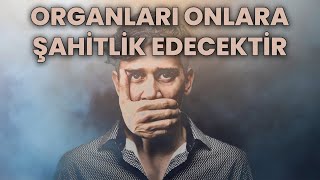 Organları Onların Aleyhine Şahitlik Edecektir! | Ebu Nuh Hoca