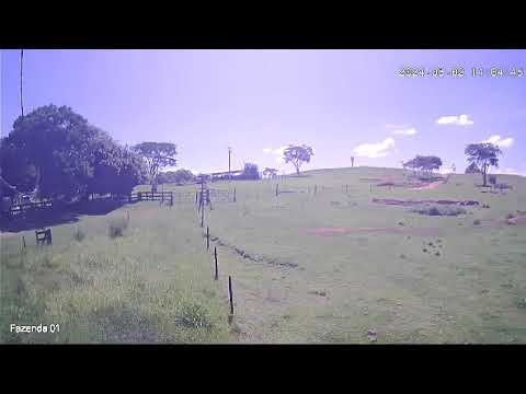 Video 28 - FAZENDA 2946