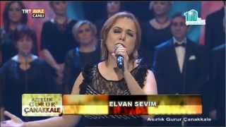 Elvan Sevim - Eledim Eledim - TRT Avaz Resimi