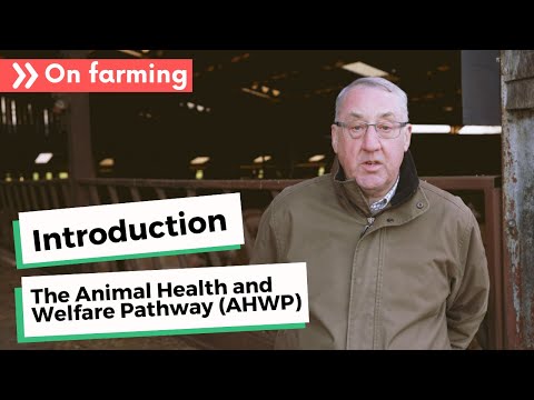 Introduction to the Animal Health and Welfare Pathway (AHWP)