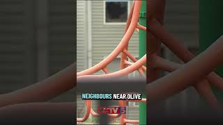 Kansas City’s Northeast neighborhood says something needs to be done about fires #shorts