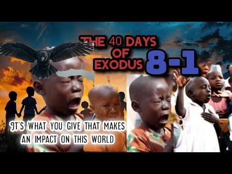 Emizimu Gidusse Ebugumu Lyeyongedde Muntekateka Zokunzimba Ekamengo