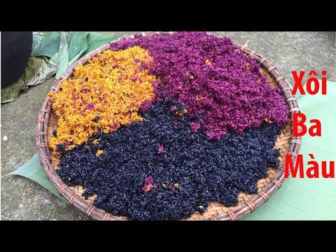 Video Tận Mắt Chứng Kiến Cách Làm Xôi Ba Màu Ăn Tết Thanh... - youtube