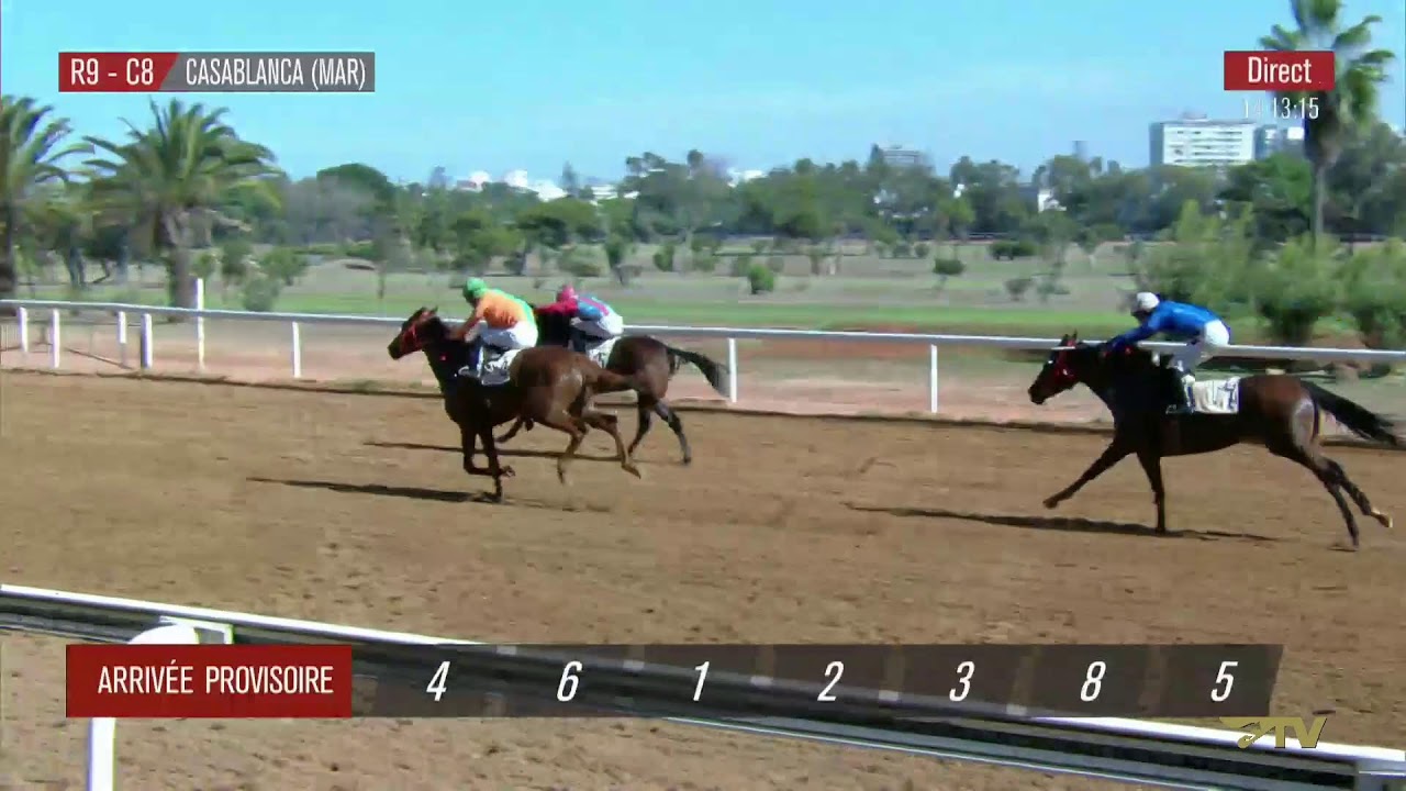 Live Hippodrome « CASABLANCA» Courses du « 10/11/2025 »