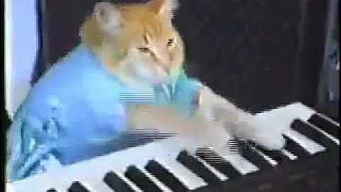Keyboard Cat 1 Hour R.I.P legend cat 1948-1984