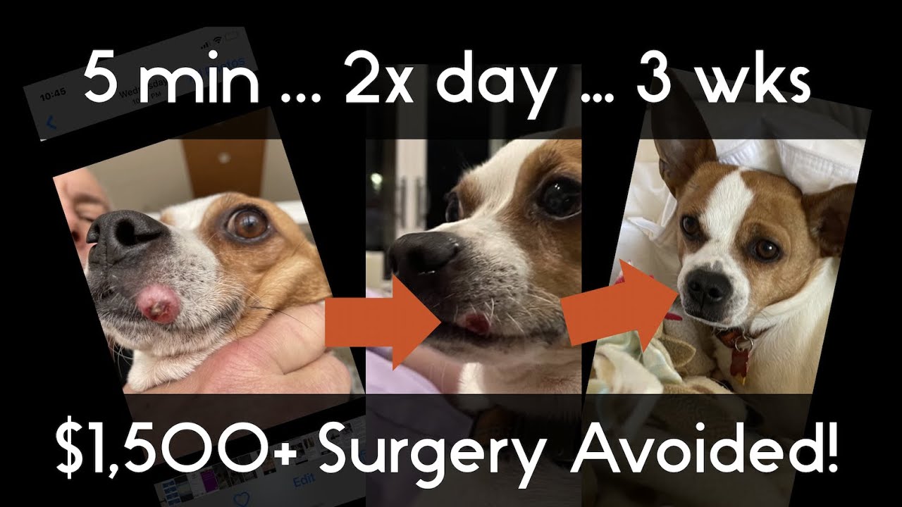 iTeraCare User Stories  - Dr  Gus Brooks and Cowboy 