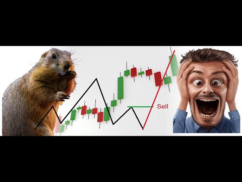 თავი და მხრები )))))))))