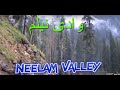 Main source of income in  Neelam Valley. وادی نیلم میں آمدنی کا بڑا ذریعہ