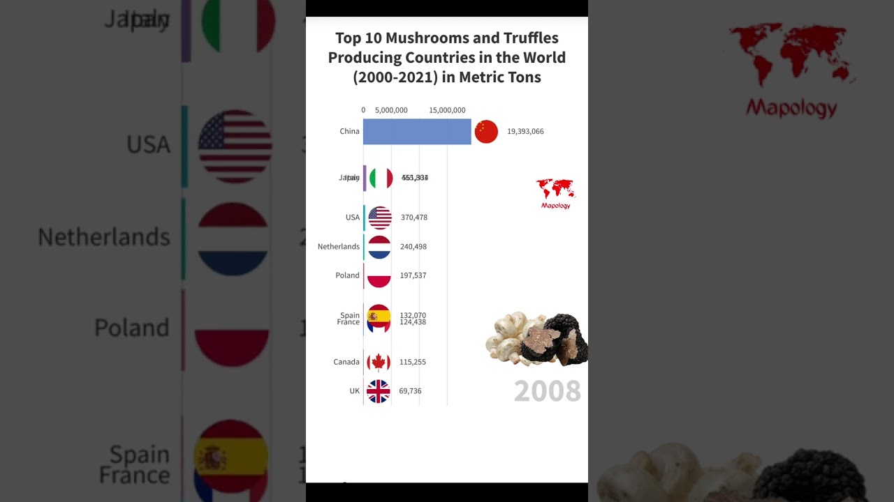 Top 10 Mushrooms and Truffles Producing Countries in the World 🍄