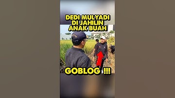 KAGET!! KANG DEDI MULYADI DI JAHILIN ANAK BUAH SENDIRI #dedimulyadi #kangdedimulyadi #kdm