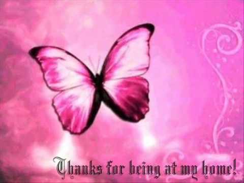 batterfly youtube batterfly youtube