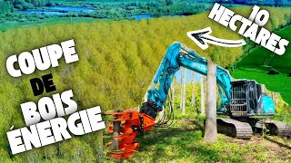Chantier d'abattage de 10 hectares pour exploiter le bois énergie 