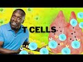The Journey of T-Cell Development in the Immune System