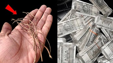 1 जनवरी 2026 को इस जड़ को ताबीज में डाल कर पहिन लेना रातों रात चमकेगी किस्मत | New Year 2026 