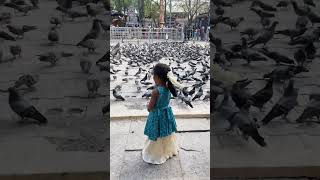 Her happy little temple moment 🕊️🙏#HappyKid #TempleVisit #CuteBaby #SimpleJoy #PigeonLove #Shorts
