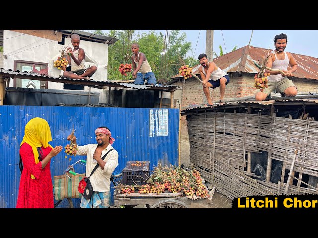 LITCHI CHOR || Latest Amazing Comedy Video Story || Bindas Fun Nonstop