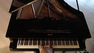 #377 of 10.000 Blüthner Grand Piano Pieces