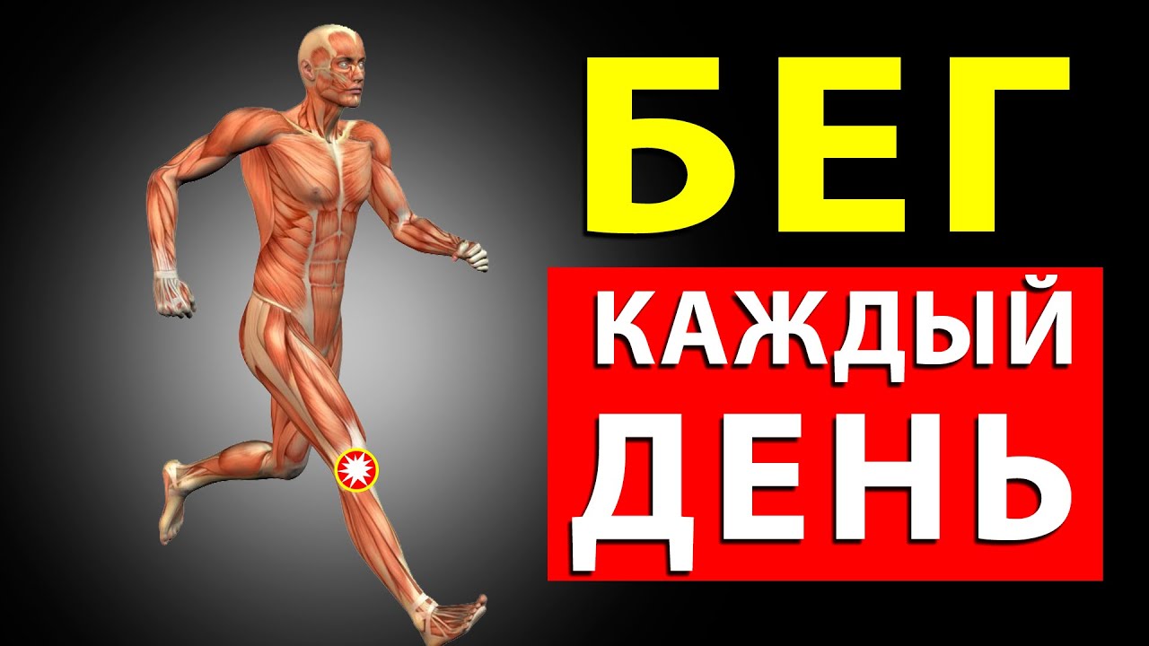 Терминология кросс-бега