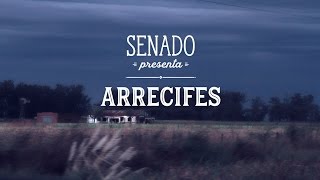 Capitulo 015: Arrecifes