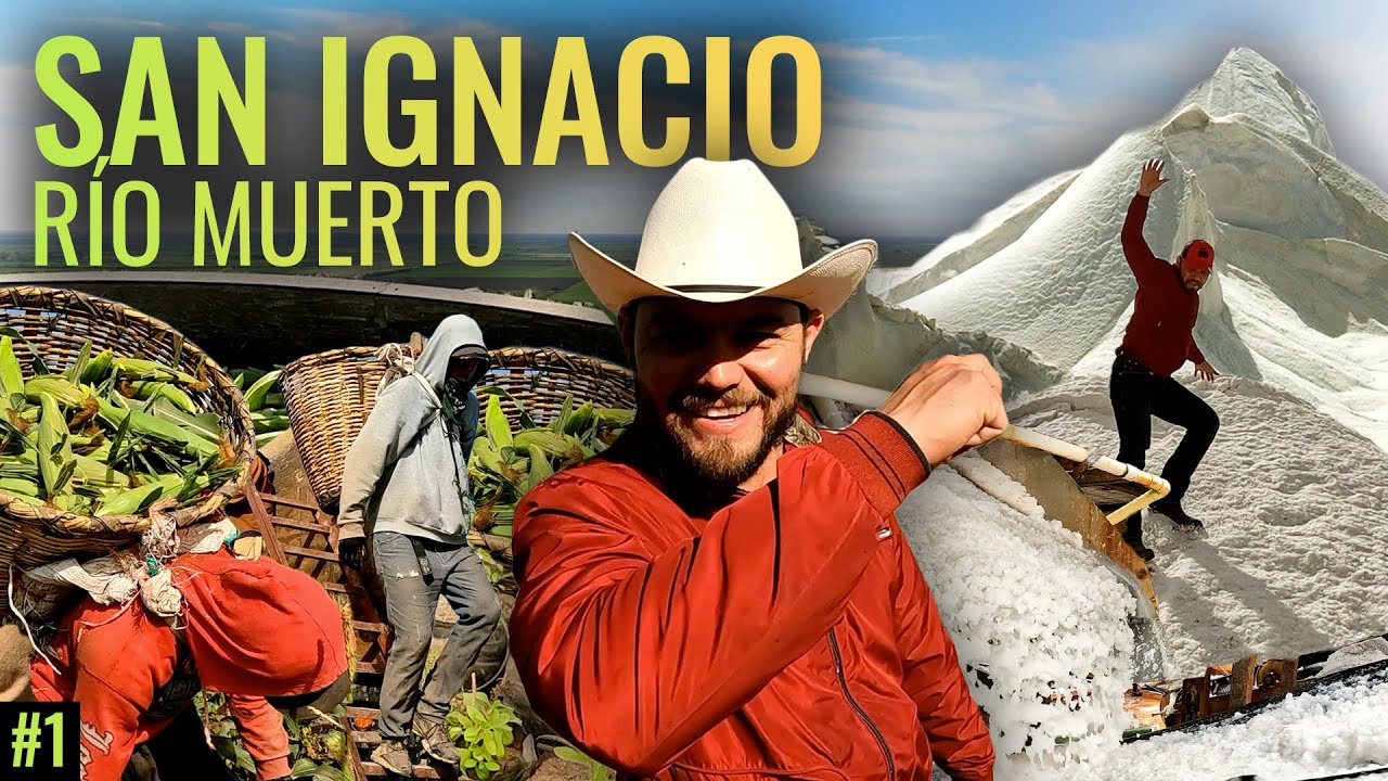 SAN IGNACIO RÍO MUERTO, SONORA La producción de MATERIAS PRIMAS como el azúcar y la sal. YouTube SAN IGNACIO RÍO MUERTO, SONORA La producción de MATERIAS PRIMAS como el azúcar y la sal. YouTube