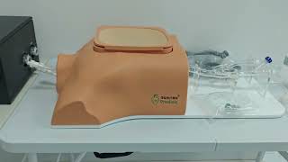 Ultrasonic Heart Training Model