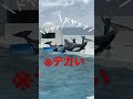 ドヤるシャチ #鴨シー #orca