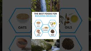 Muscle-Building Diet: Top Foods Unveiled #shorts