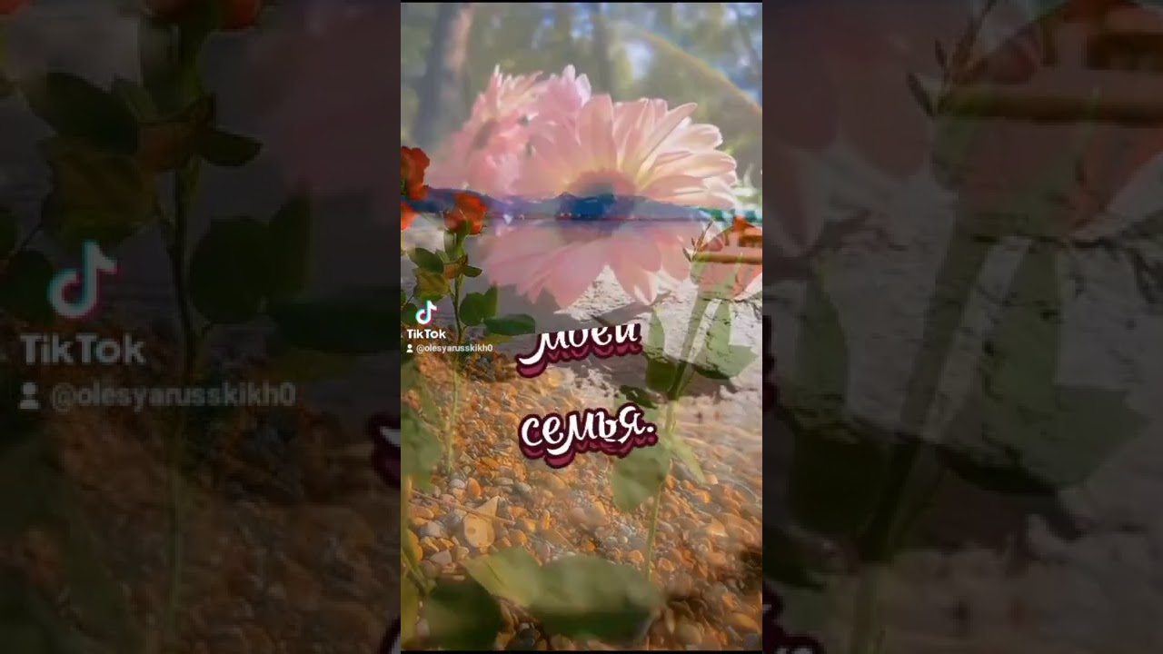 #статусы #цитаты #жизнь