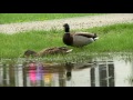 6P SEWERS & FLOODING PKG