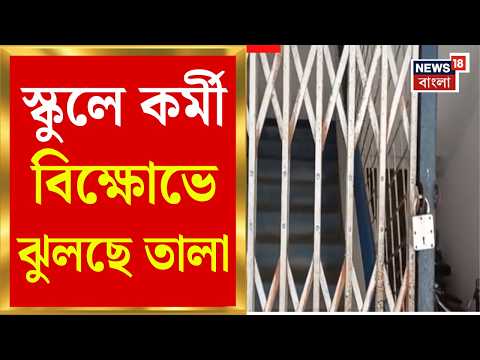 Bongaon News | ২ মাস মেলেনি বেতন, কর্মীদের বিক্ষোভে স্কুলে তালা, বন্ধ পঠনপাঠন | Bangla News