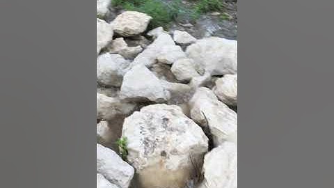Pond overflow after heavy rain