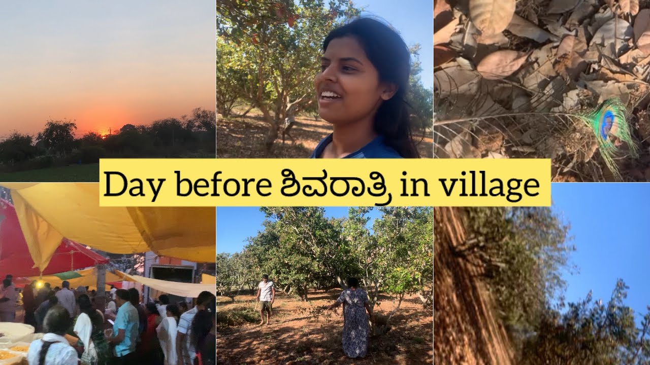 A day before ಶಿವರಾತ್ರಿ in village| ತುಂಬಾ ದಿನ ಆದ್ಮೇಲೆ h cross ಸಂತೆ ನೋಡಿದು| Akhilavlogs |