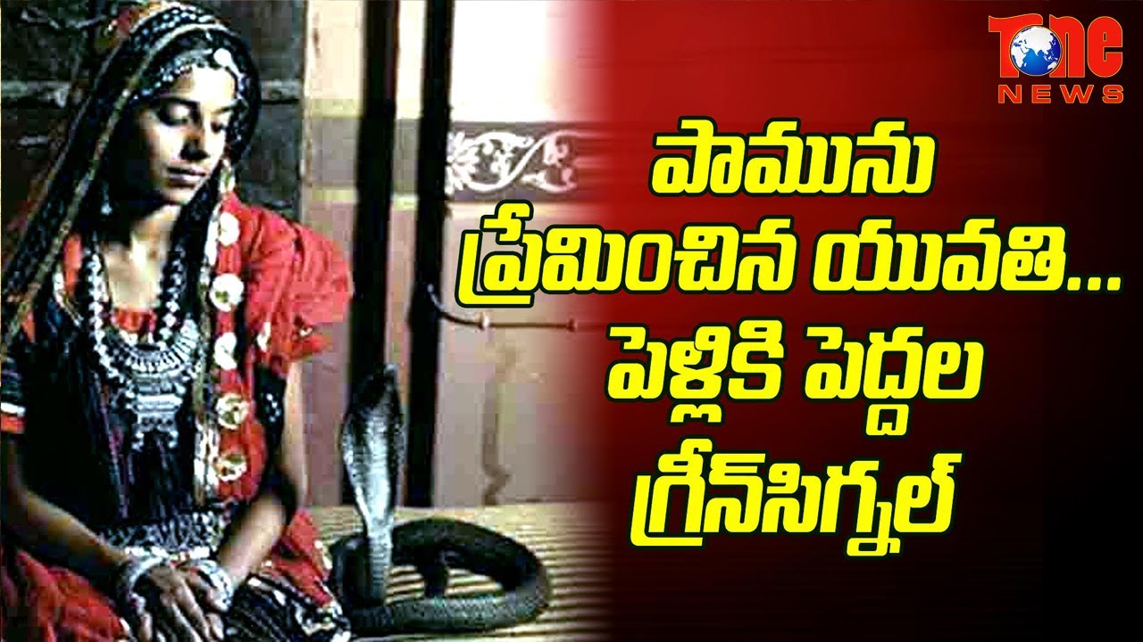 Girl Loves Snake Gets Elders Nod For Marriage