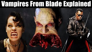 Vampires Of The Blade Film Series