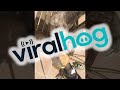 Beagle Says Bye to Sloth || ViralHog