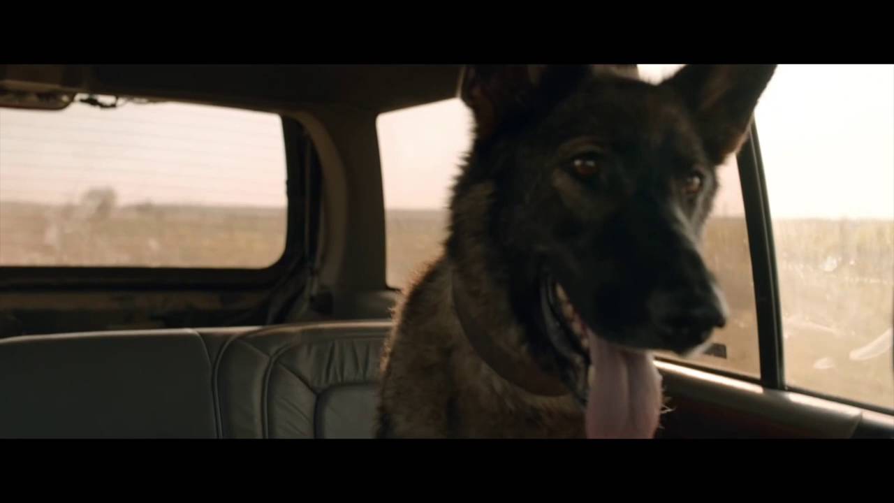 Dogs trailer Film Fest Gent 2016 YouTube