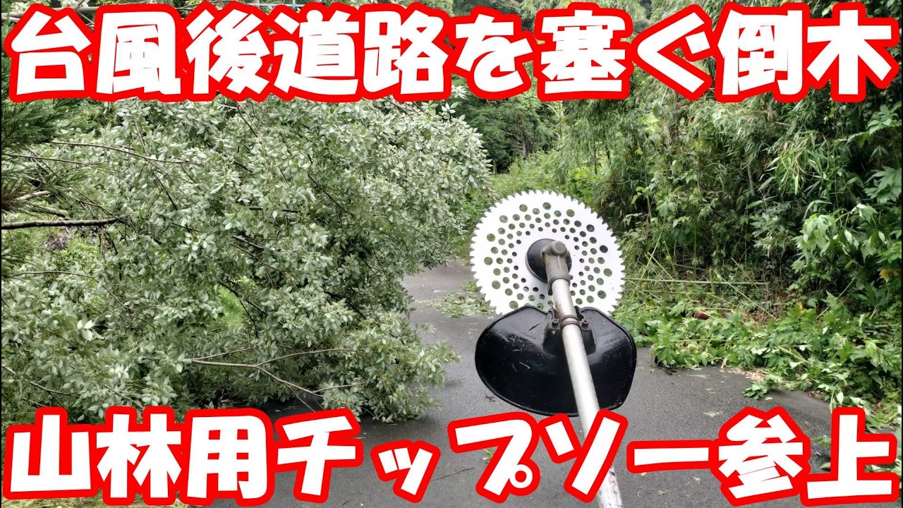 Clearing a fallen tree blocking the road with a forestry blade