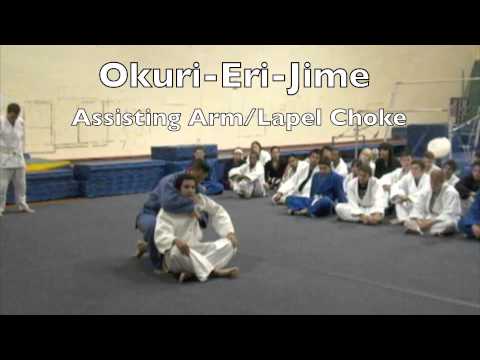 basic-pins,-chokes-&-submissions---lavc-judo-class