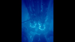 Nuclear reactor startup and Cherenkov radiation (with sound)