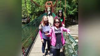 1090613快樂旅遊家族~杉林溪繡球花季之旅