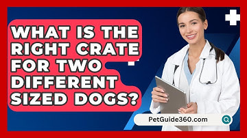 What Is The Right Crate For Two Different Sized Dogs? - PetGuide360.com