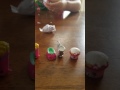 Ryann opens shopkins